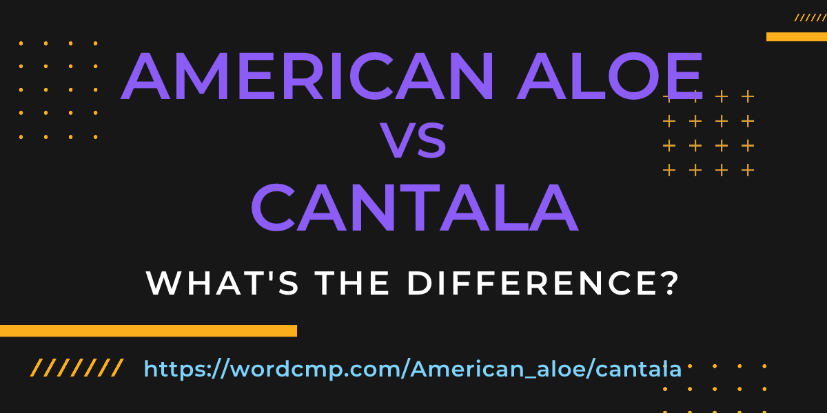 Difference between American aloe and cantala