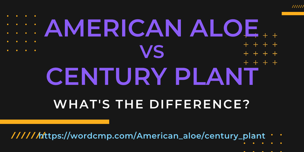 Difference between American aloe and century plant