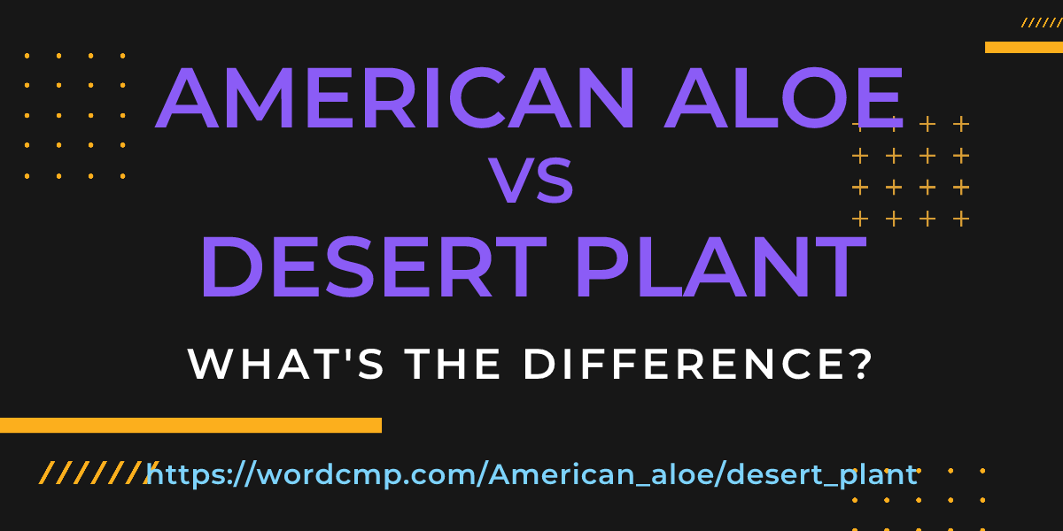 Difference between American aloe and desert plant