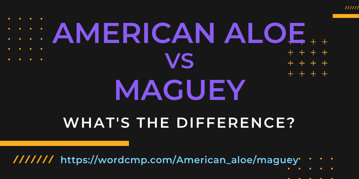 Difference between American aloe and maguey