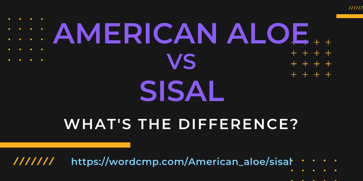 Difference between American aloe and sisal