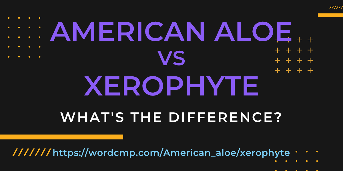 Difference between American aloe and xerophyte