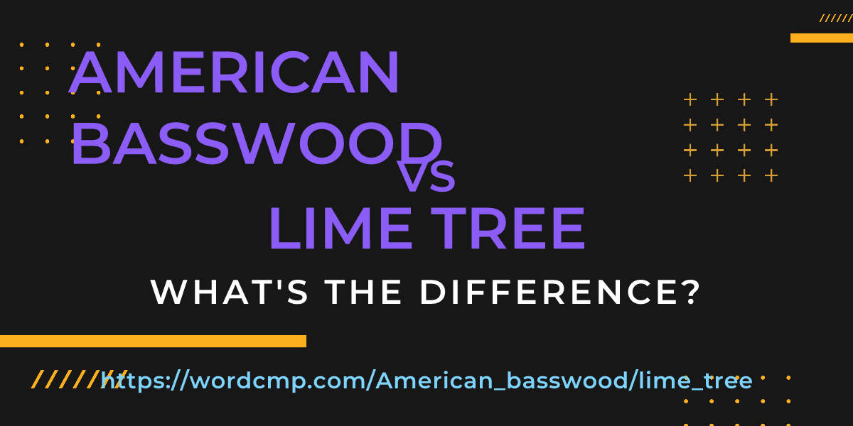 Difference between American basswood and lime tree