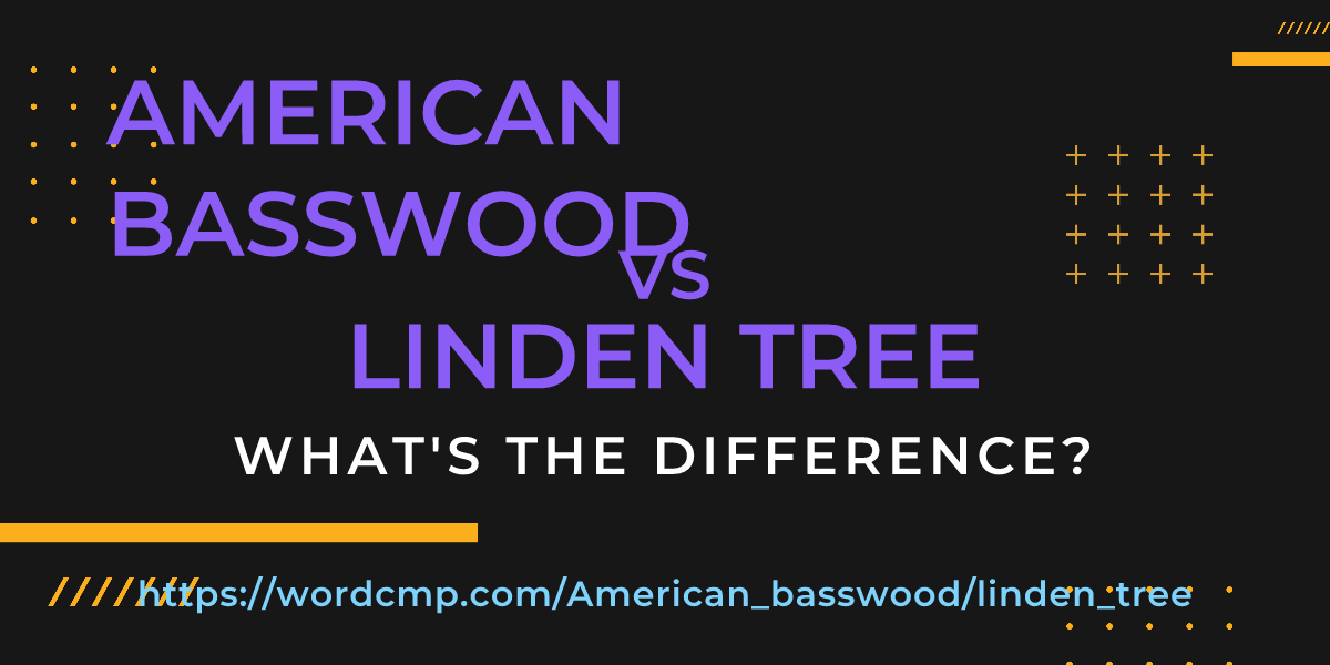 Difference between American basswood and linden tree