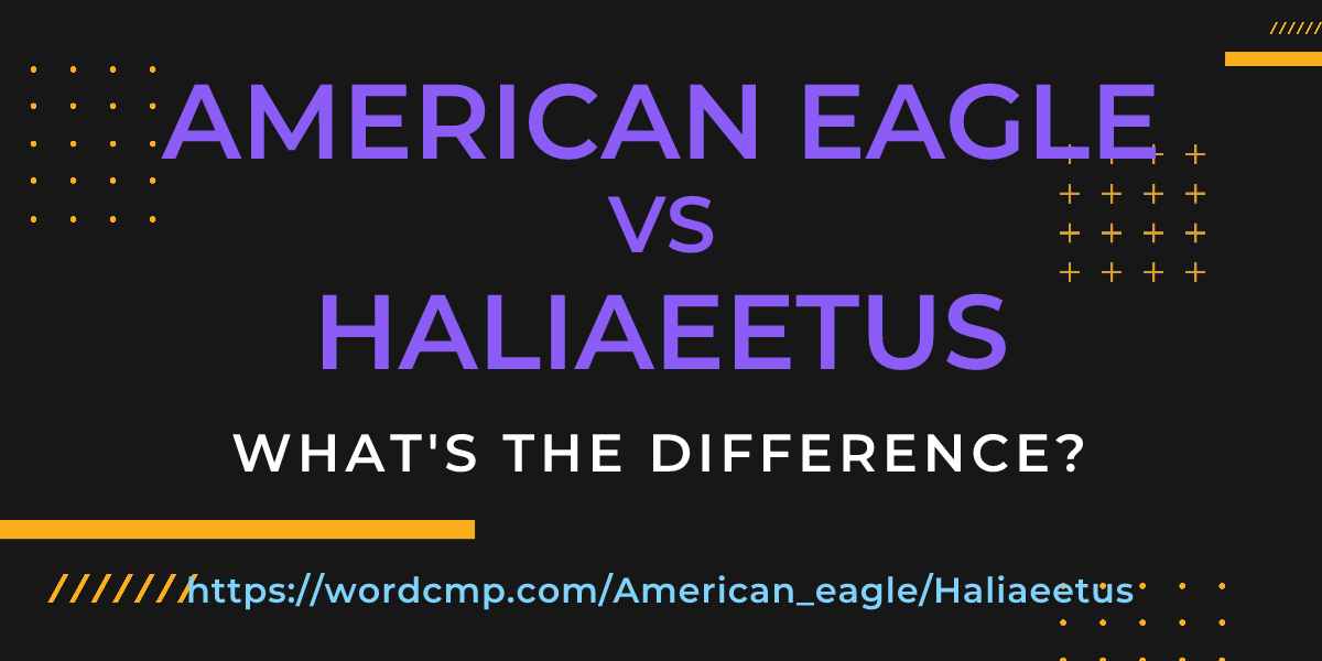 Difference between American eagle and Haliaeetus
