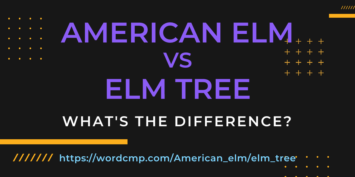Difference between American elm and elm tree