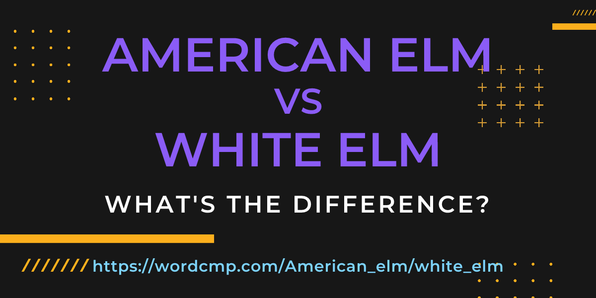 Difference between American elm and white elm