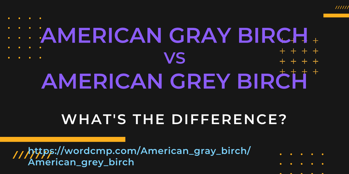 Difference between American gray birch and American grey birch