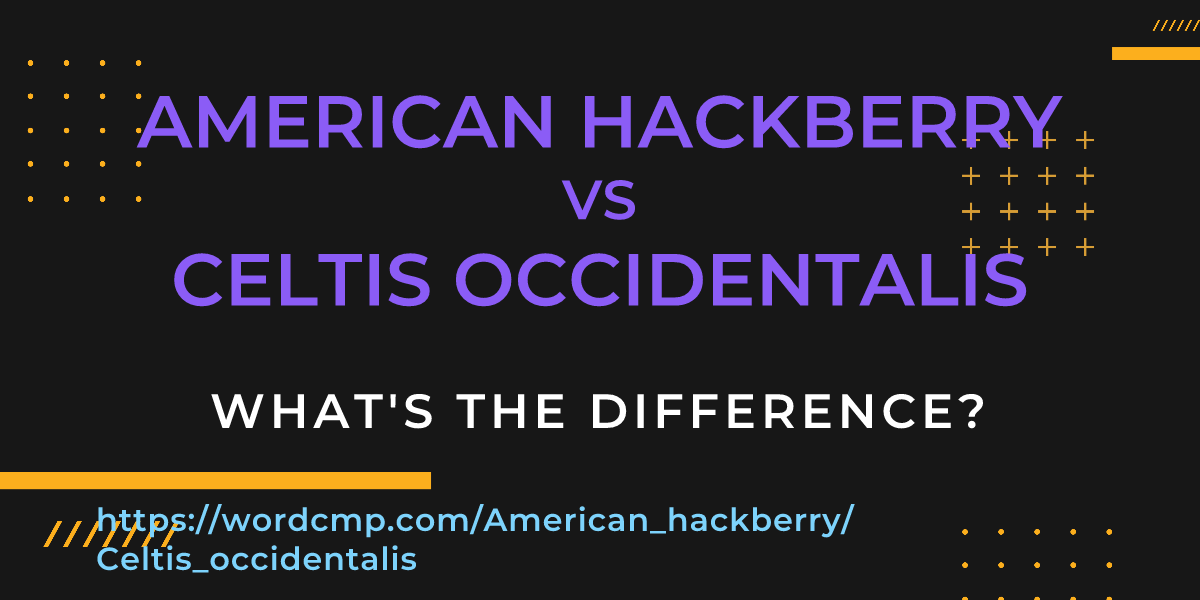 Difference between American hackberry and Celtis occidentalis
