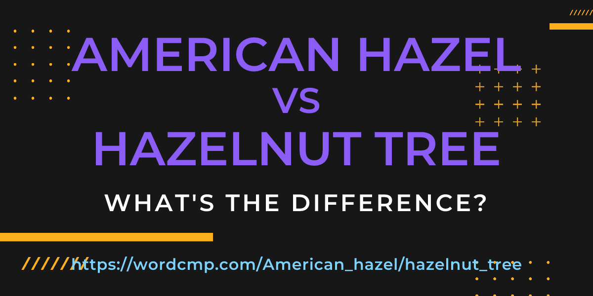Difference between American hazel and hazelnut tree