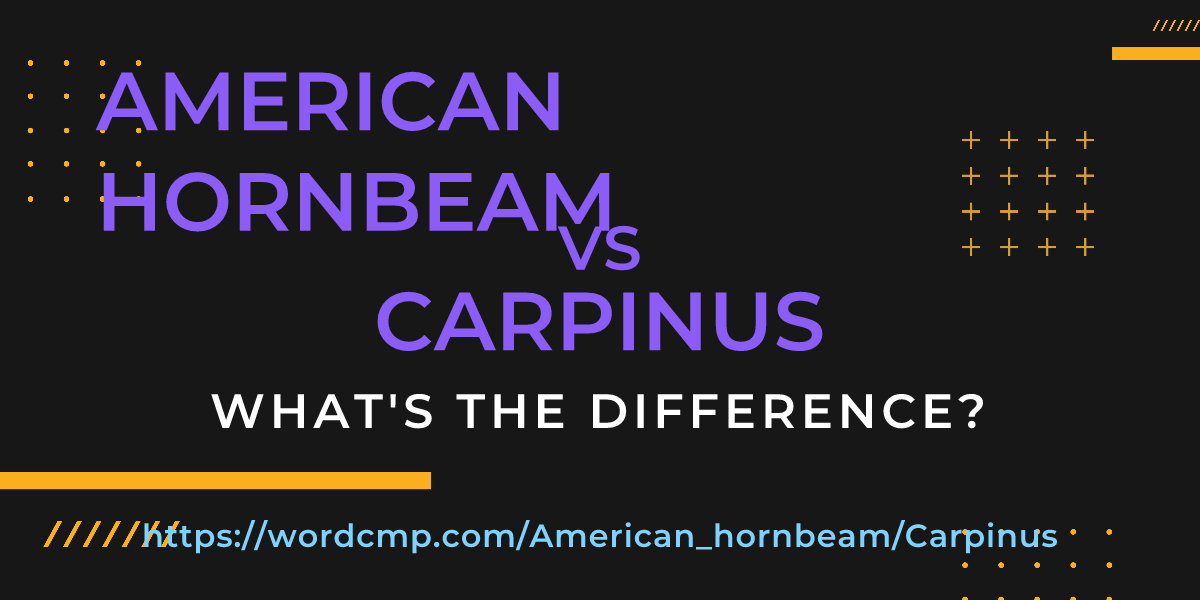 Difference between American hornbeam and Carpinus