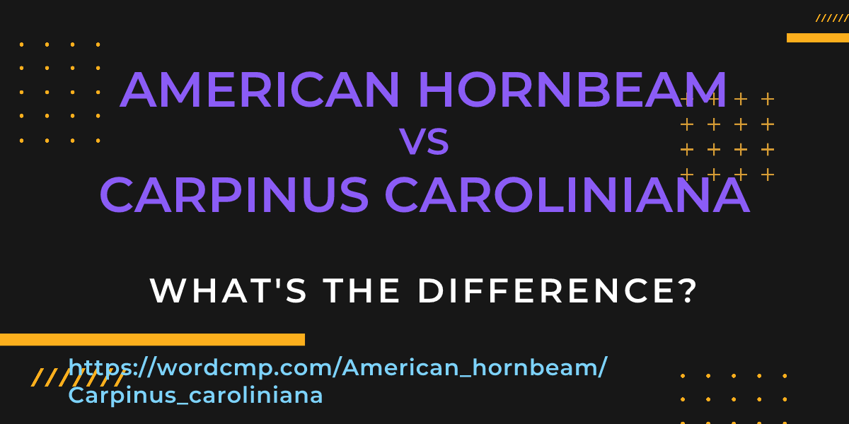 Difference between American hornbeam and Carpinus caroliniana