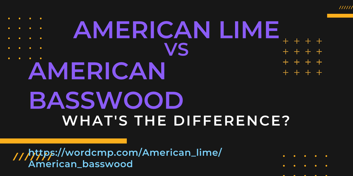 Difference between American lime and American basswood