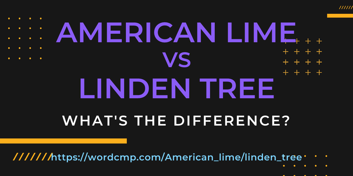 Difference between American lime and linden tree