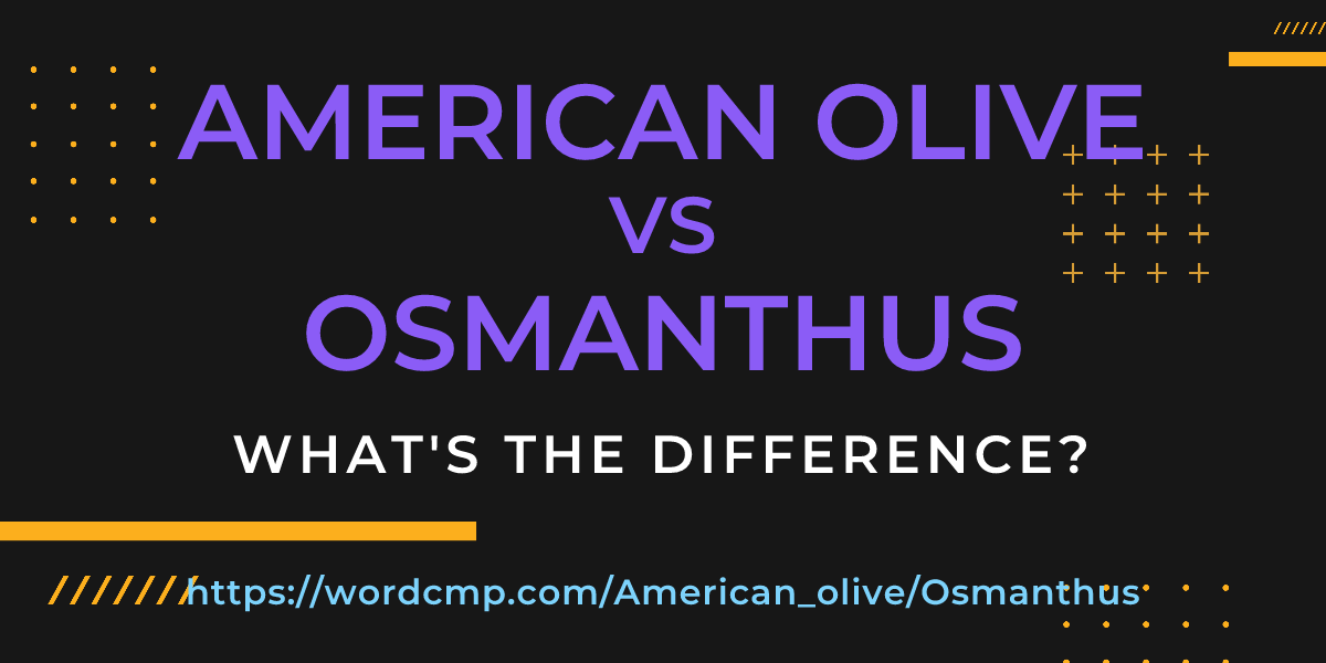 Difference between American olive and Osmanthus