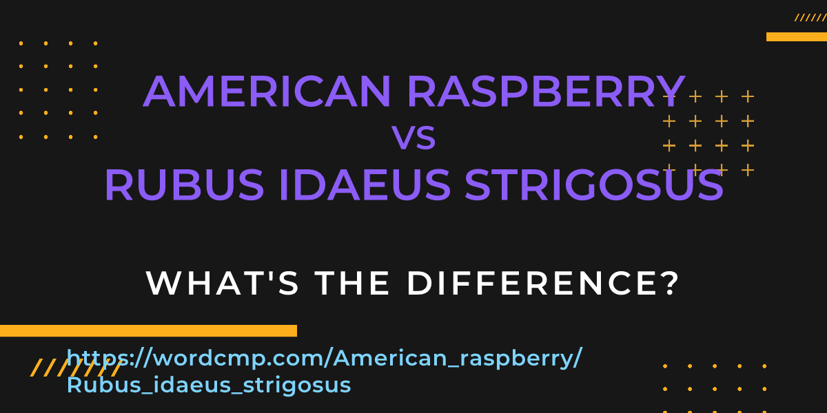 Difference between American raspberry and Rubus idaeus strigosus