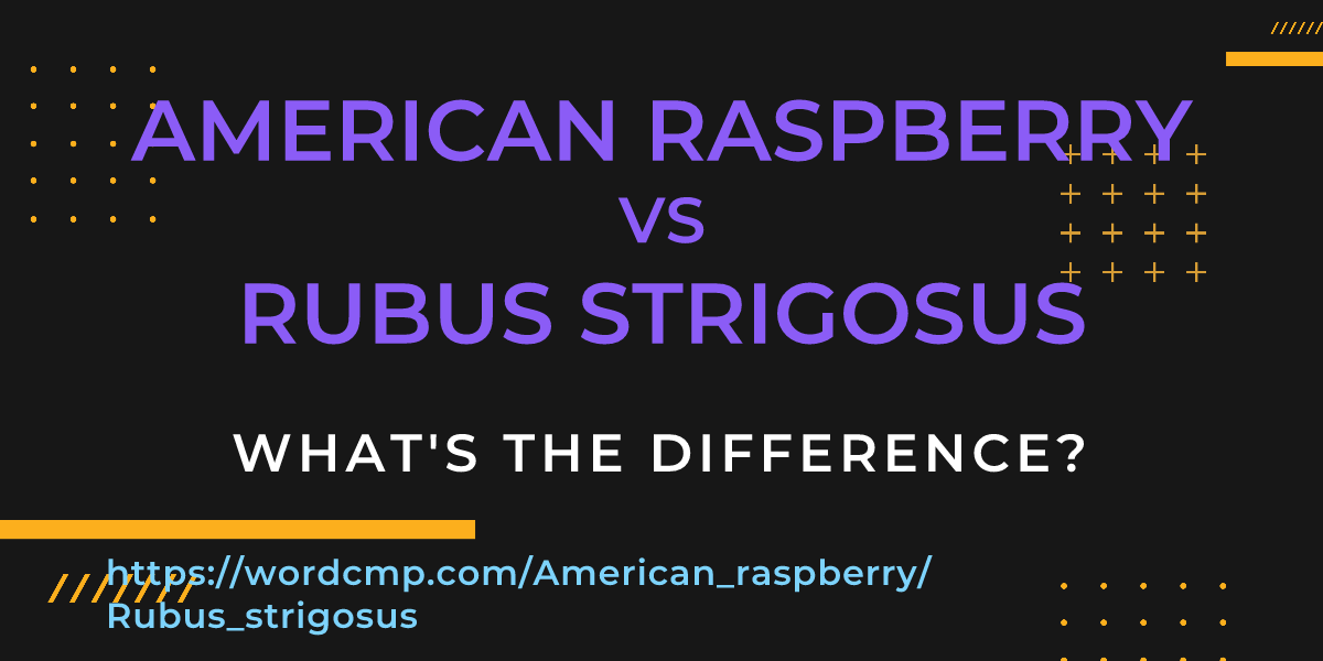 Difference between American raspberry and Rubus strigosus
