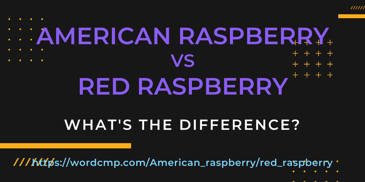 Difference between American raspberry and red raspberry