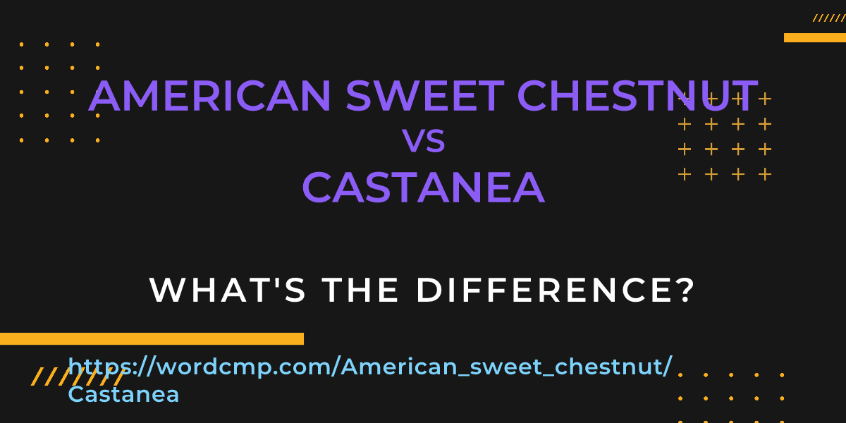 Difference between American sweet chestnut and Castanea
