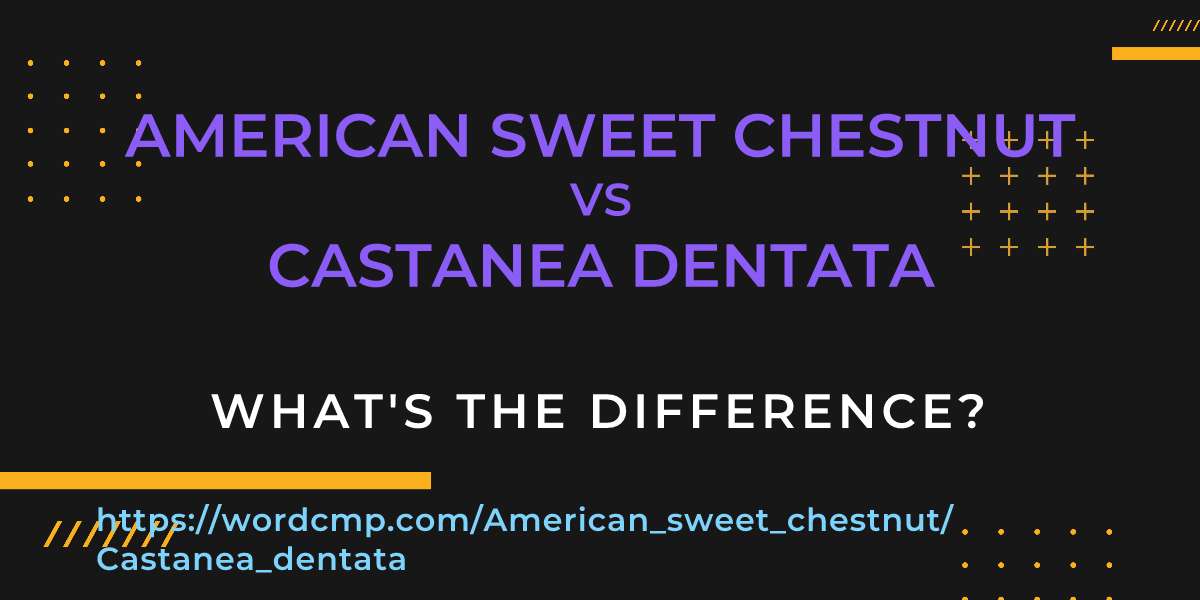 Difference between American sweet chestnut and Castanea dentata