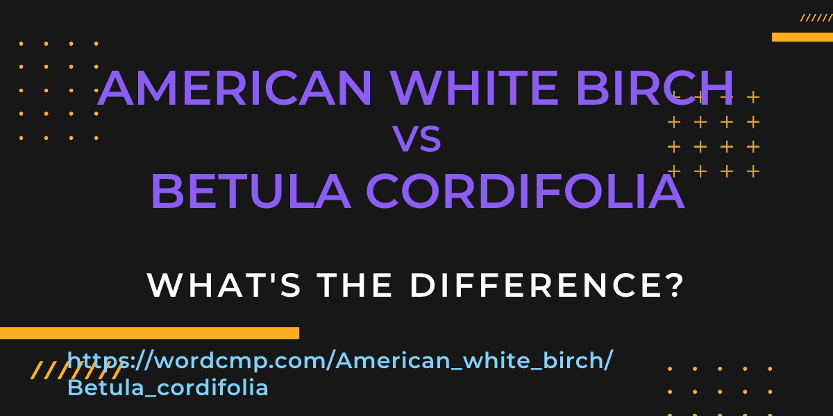Difference between American white birch and Betula cordifolia