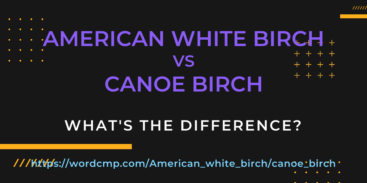 Difference between American white birch and canoe birch