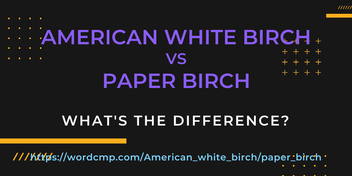 Difference between American white birch and paper birch