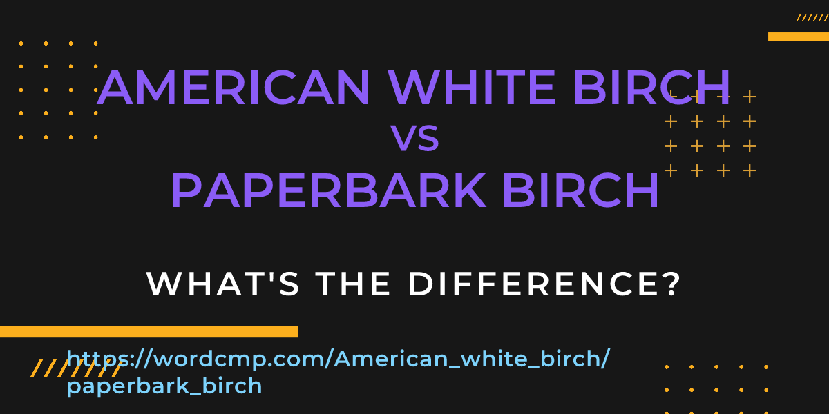 Difference between American white birch and paperbark birch