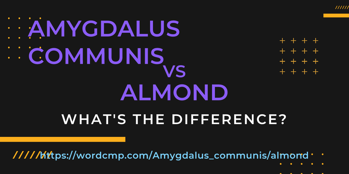 Difference between Amygdalus communis and almond
