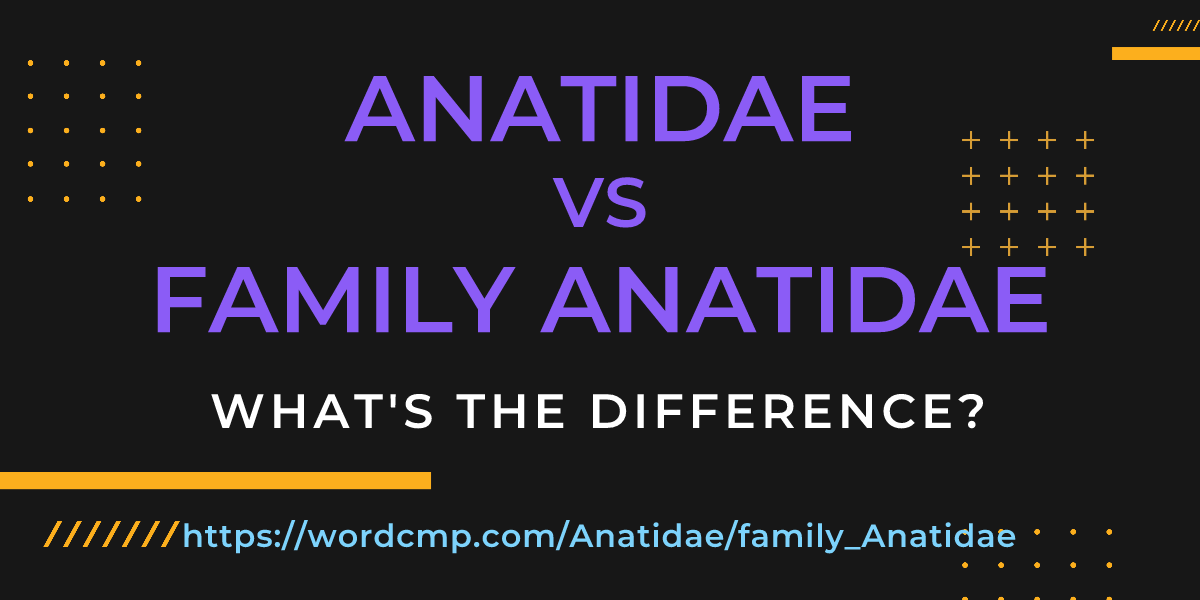 Difference between Anatidae and family Anatidae