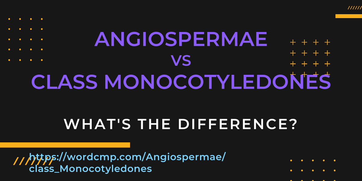 Difference between Angiospermae and class Monocotyledones