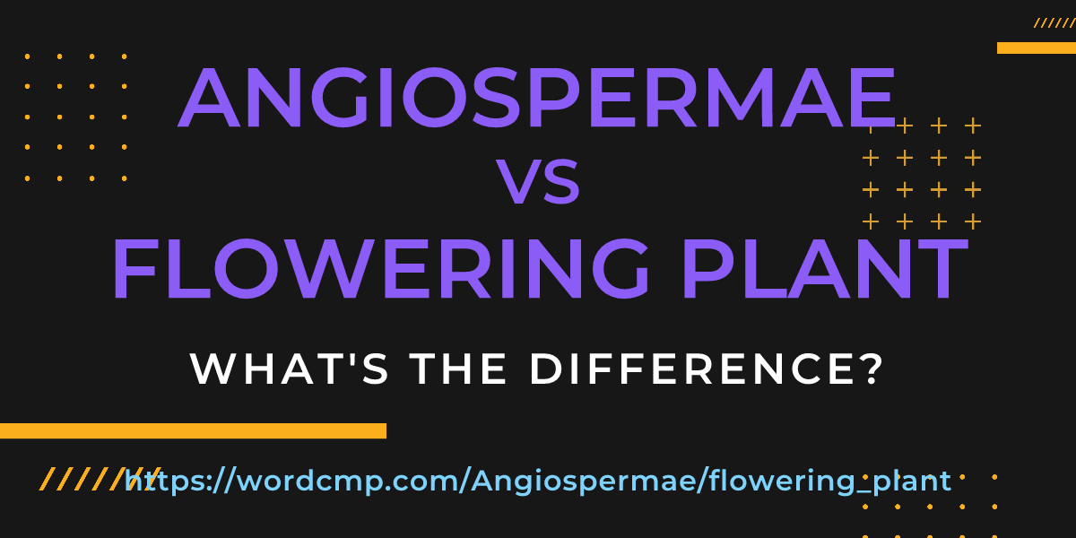 Difference between Angiospermae and flowering plant