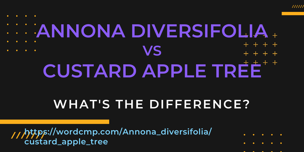 Difference between Annona diversifolia and custard apple tree