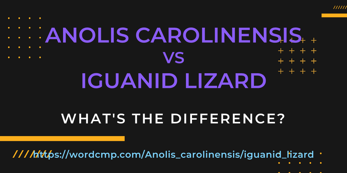 Difference between Anolis carolinensis and iguanid lizard