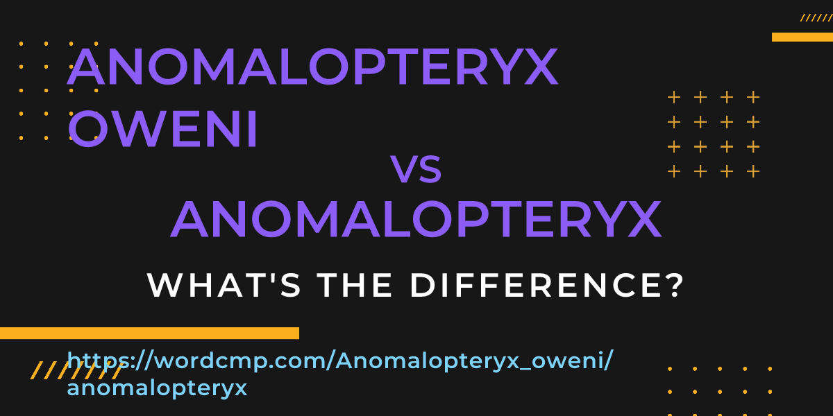 Difference between Anomalopteryx oweni and anomalopteryx