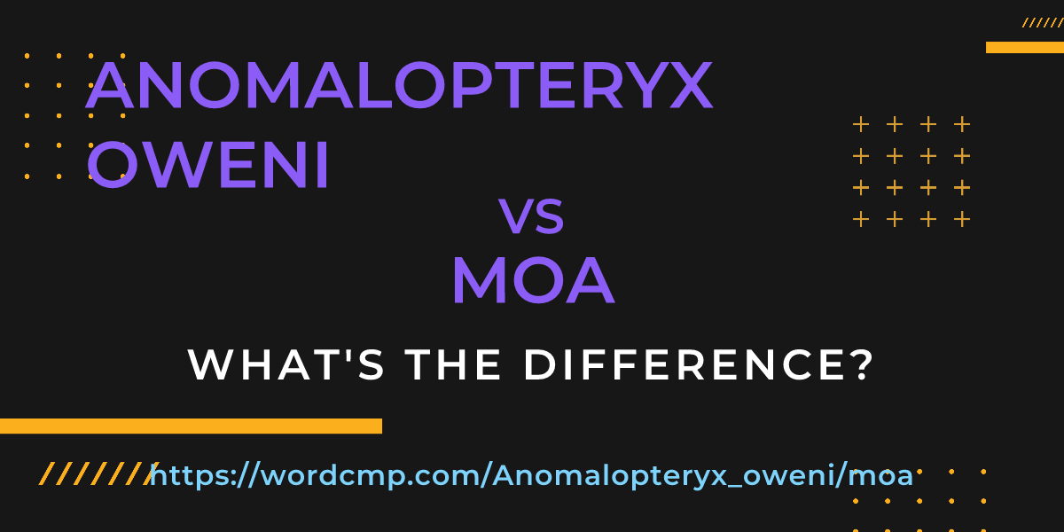 Difference between Anomalopteryx oweni and moa