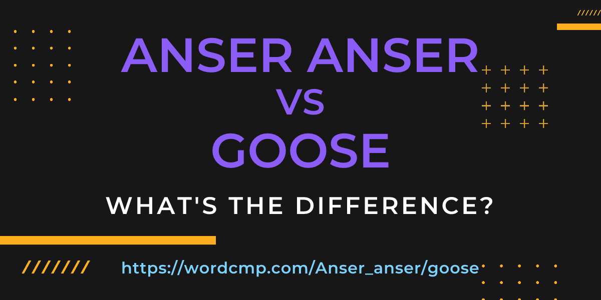 Difference between Anser anser and goose