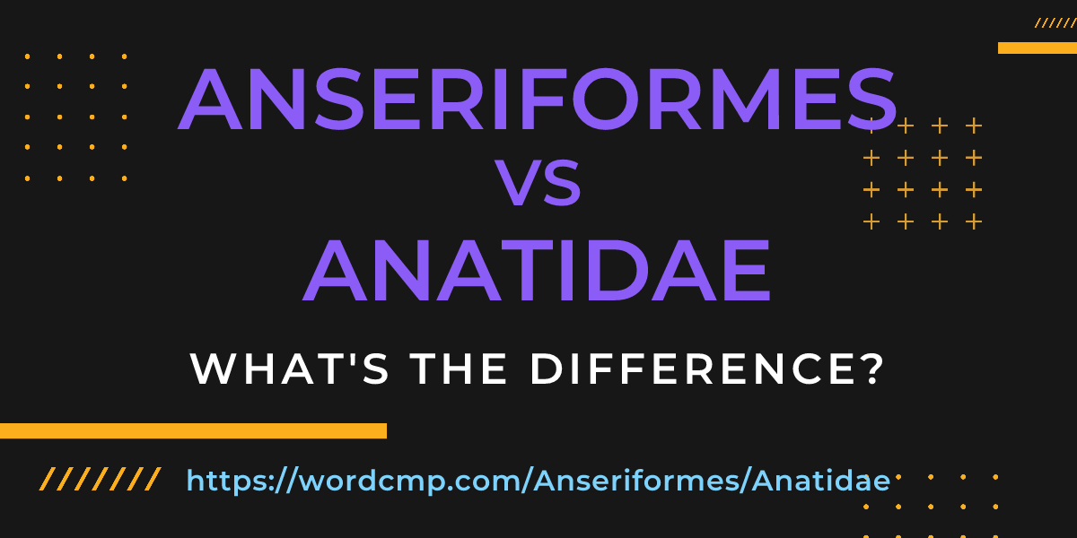 Difference between Anseriformes and Anatidae