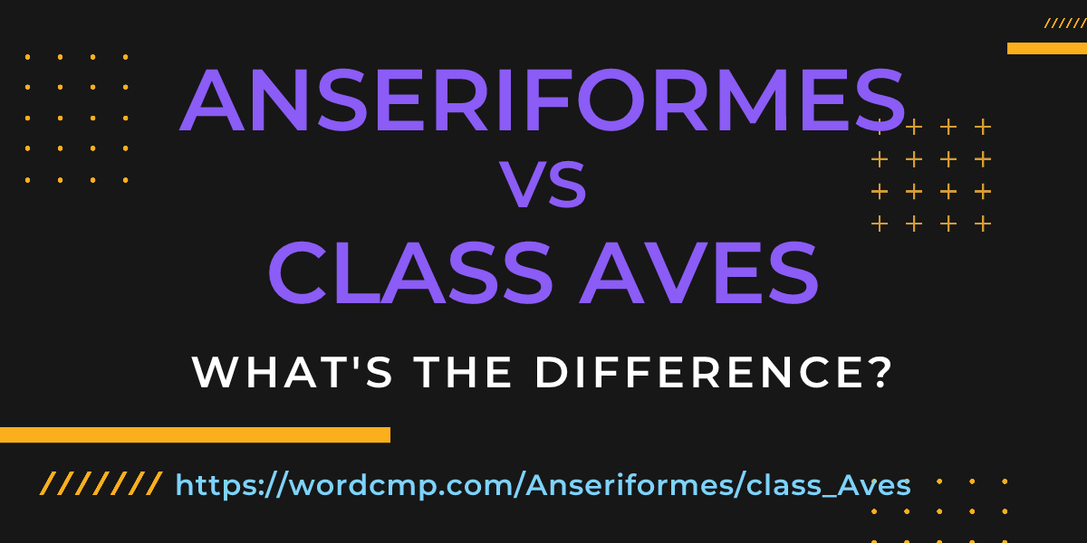 Difference between Anseriformes and class Aves