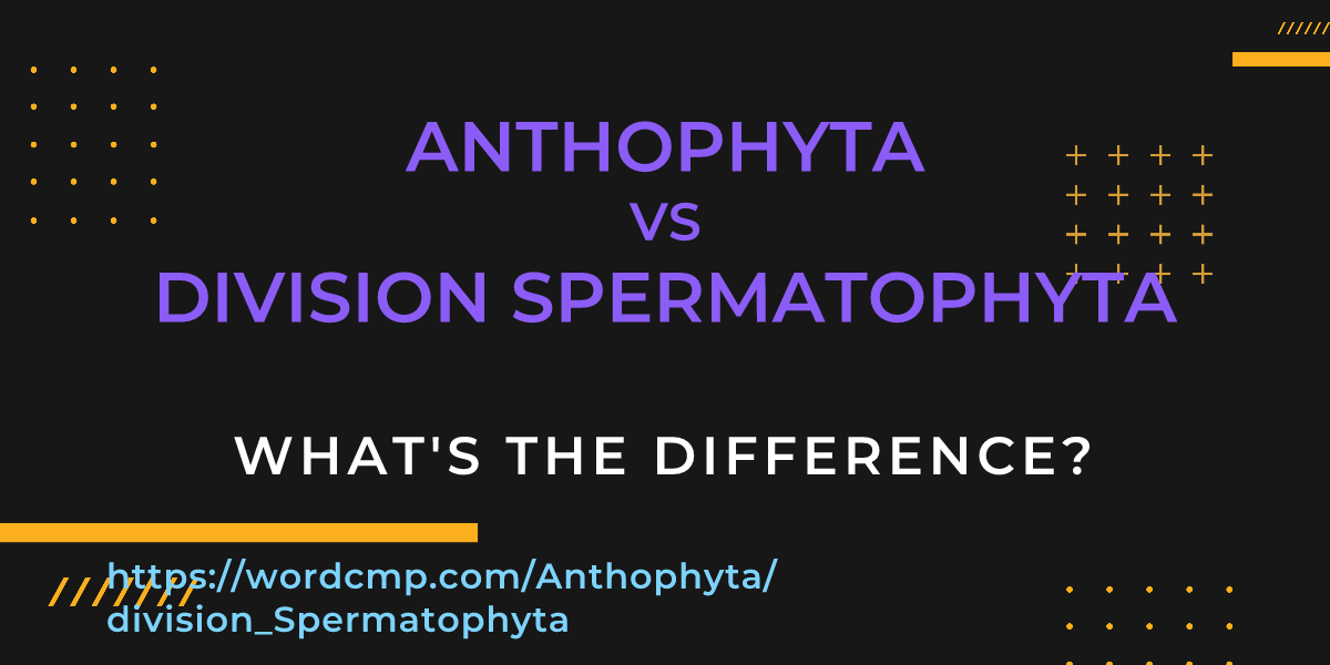 Difference between Anthophyta and division Spermatophyta