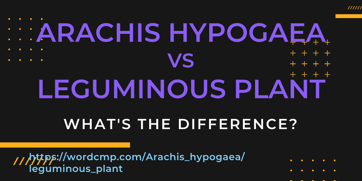 Difference between Arachis hypogaea and leguminous plant
