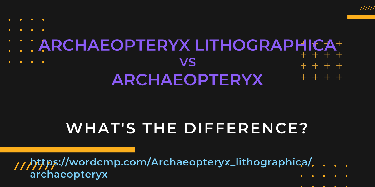 Difference between Archaeopteryx lithographica and archaeopteryx
