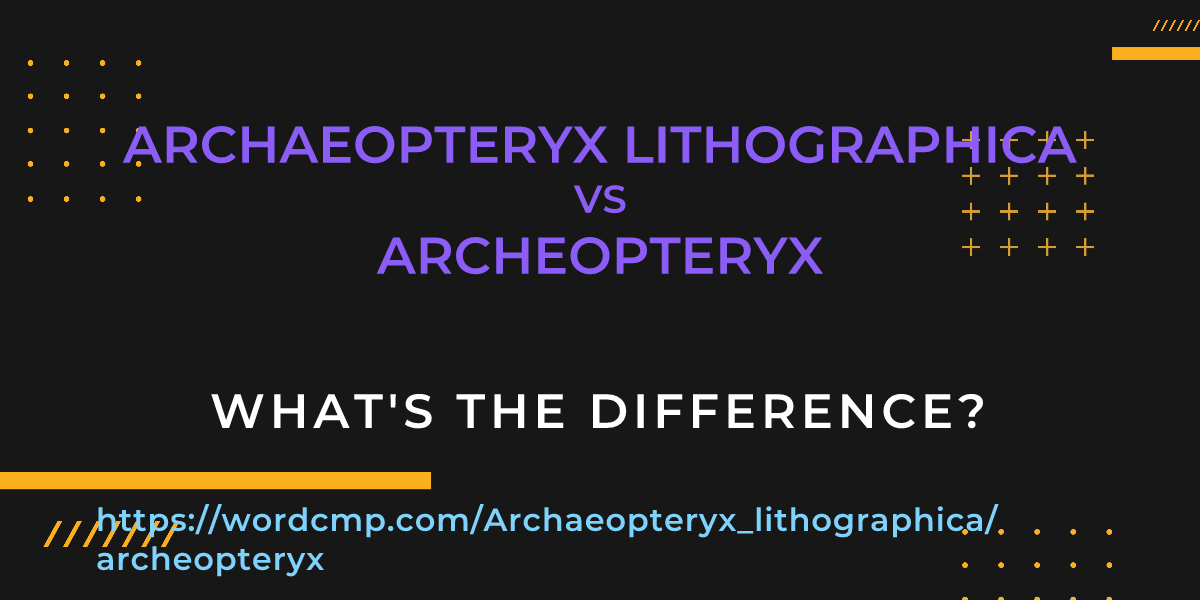 Difference between Archaeopteryx lithographica and archeopteryx