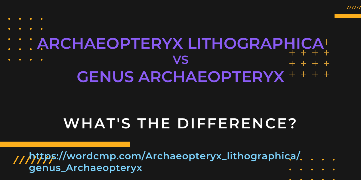 Difference between Archaeopteryx lithographica and genus Archaeopteryx