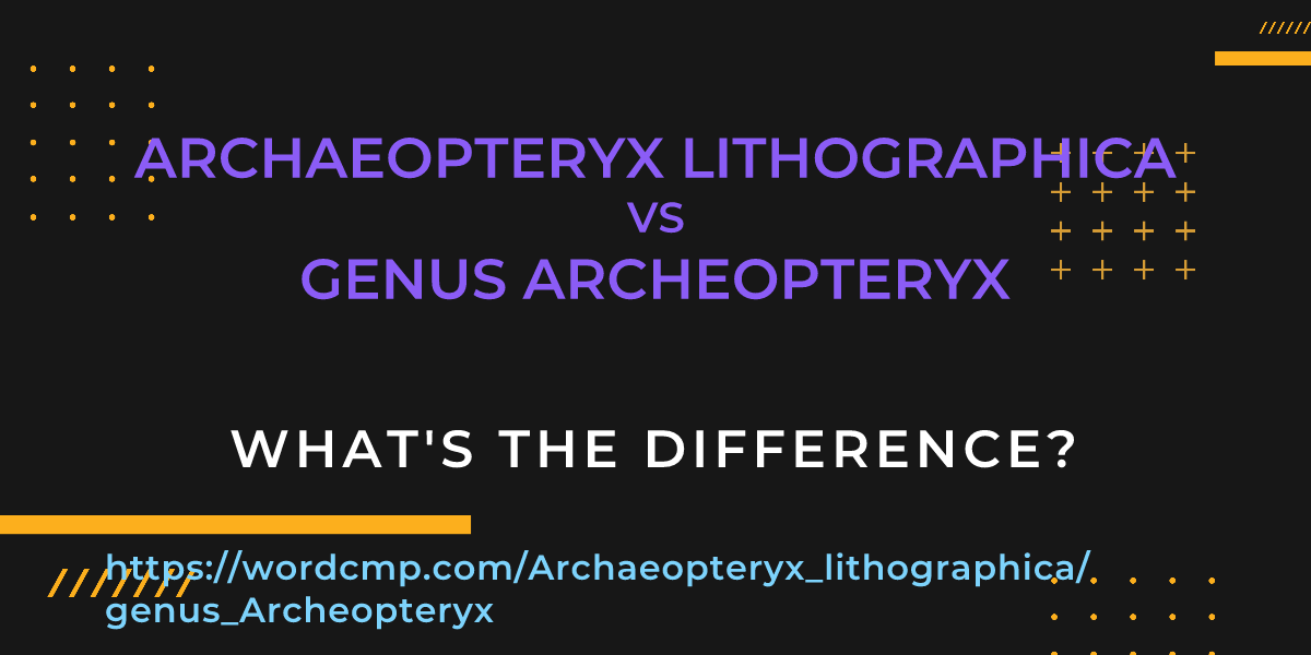 Difference between Archaeopteryx lithographica and genus Archeopteryx