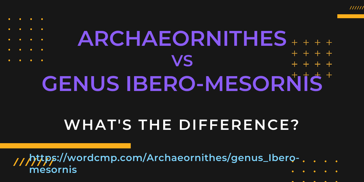 Difference between Archaeornithes and genus Ibero-mesornis