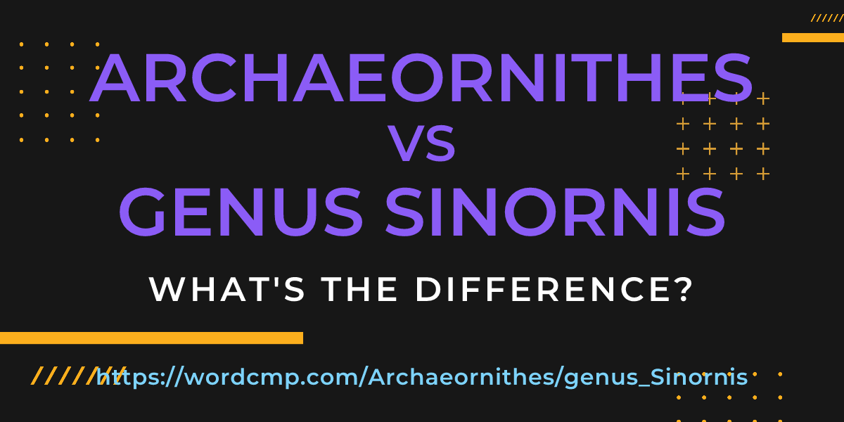 Difference between Archaeornithes and genus Sinornis