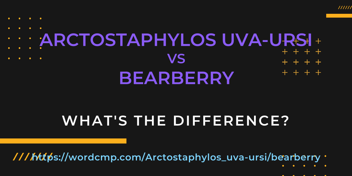 Difference between Arctostaphylos uva-ursi and bearberry