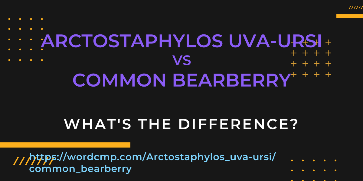 Difference between Arctostaphylos uva-ursi and common bearberry