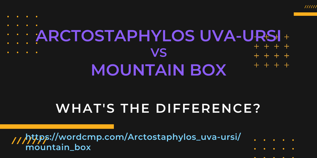 Difference between Arctostaphylos uva-ursi and mountain box